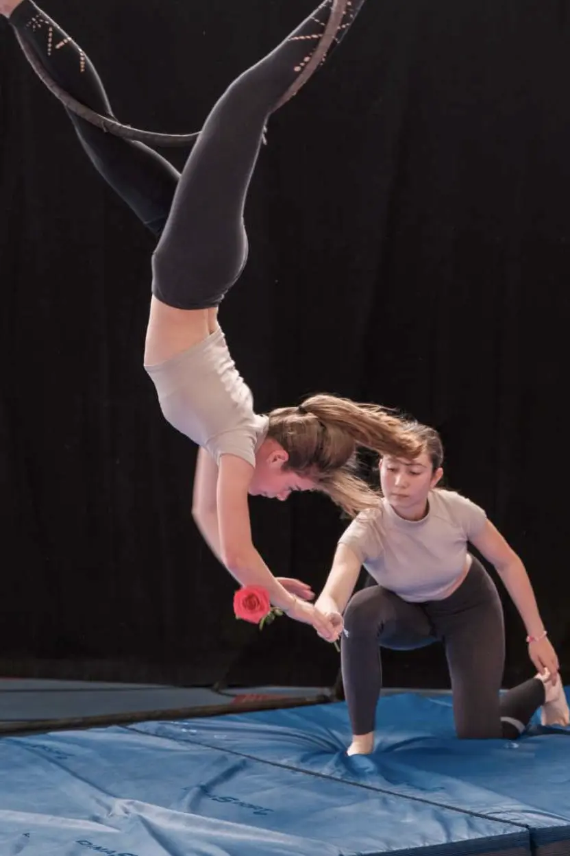 Reportage cirque – Attribudu